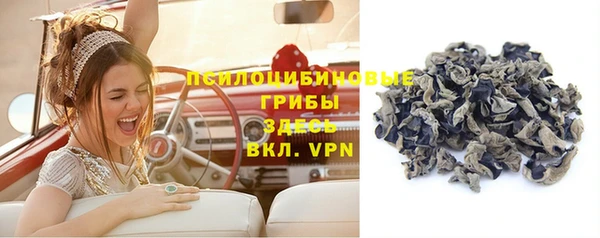 трава Карталы