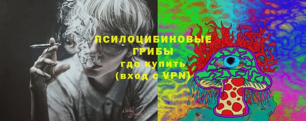 мескалин Карпинск