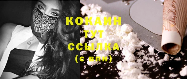 трава Карталы