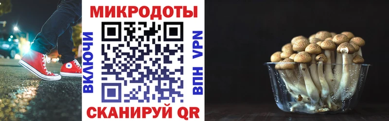 Галлюциногенные грибы Magic Shrooms  Слюдянка 